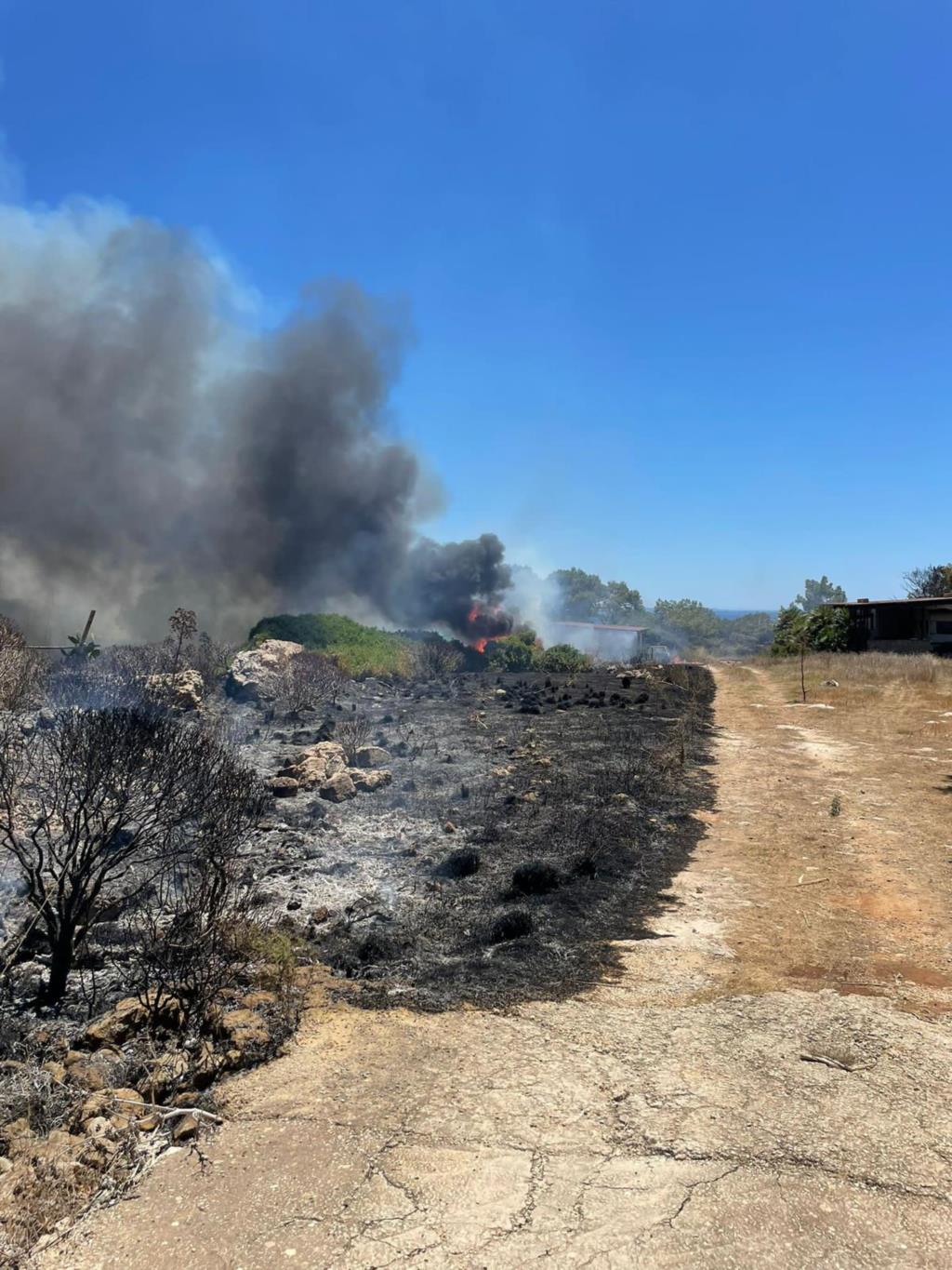 Levanzo, incendio stamattina nei pressi della pineta