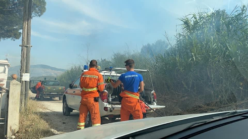 Castellammare del Golfo: obbligo di ripulire i terreni da sterpaglie ed erbacce