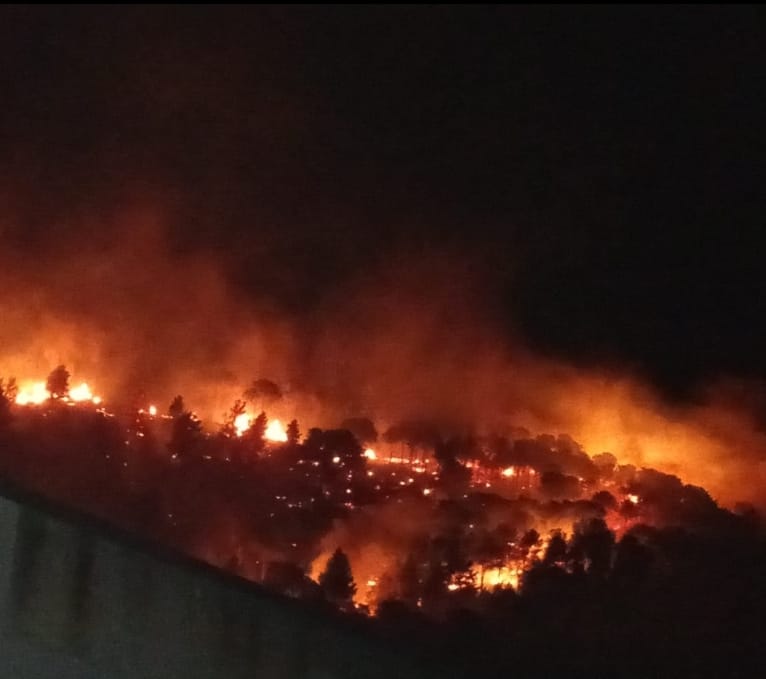 Castellammare, circoscritto l'incendio su Monte Inici
