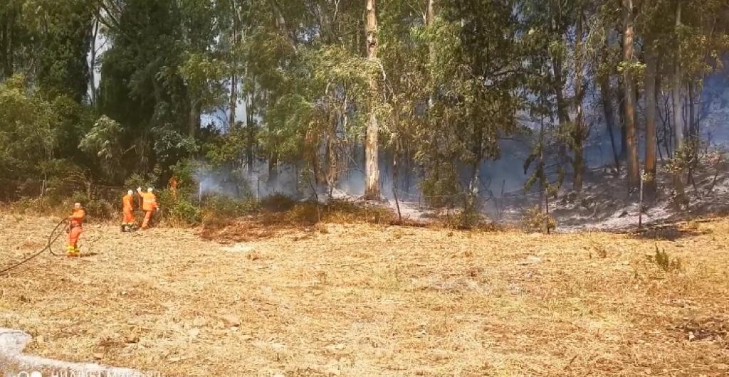 Emergenza incendi, brucia anche il Bosco Scorace (VIDEO)