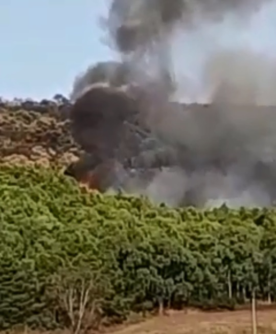 Emergenza incendi. Di nuovo in fiamme il Bosco Scorace