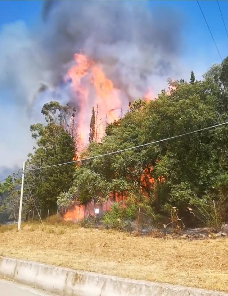 Emergenza incendi, brucia anche il Bosco Scorace (VIDEO)