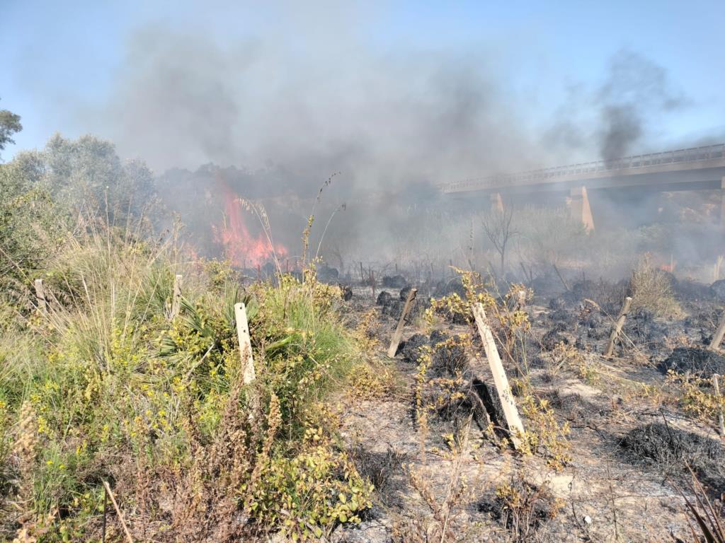 Marsala, combustione illecita di rifiuti: fermato un 60enne in flagranza di reato