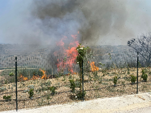 Incendio a Monte Inici
