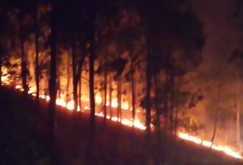 Ancora fiamme a Bosco Scorace