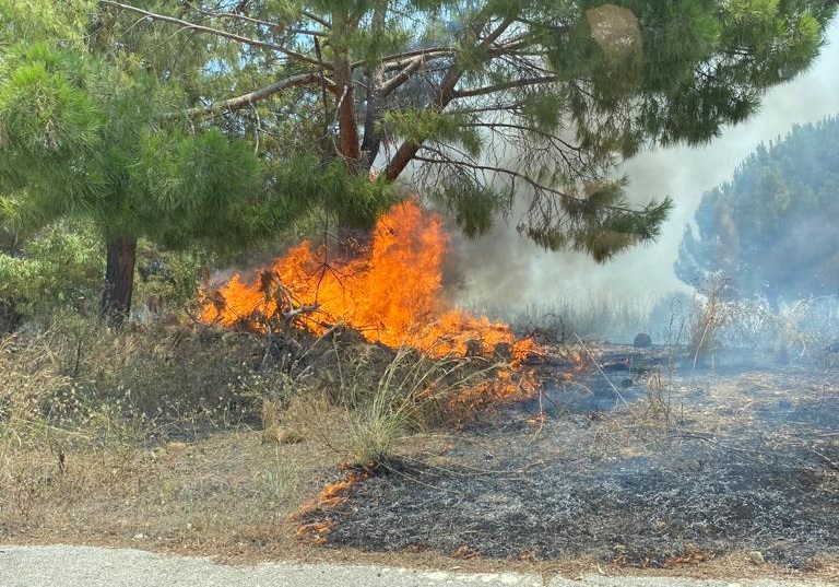 Paceco. Incendio all'ingresso del parco Baiata