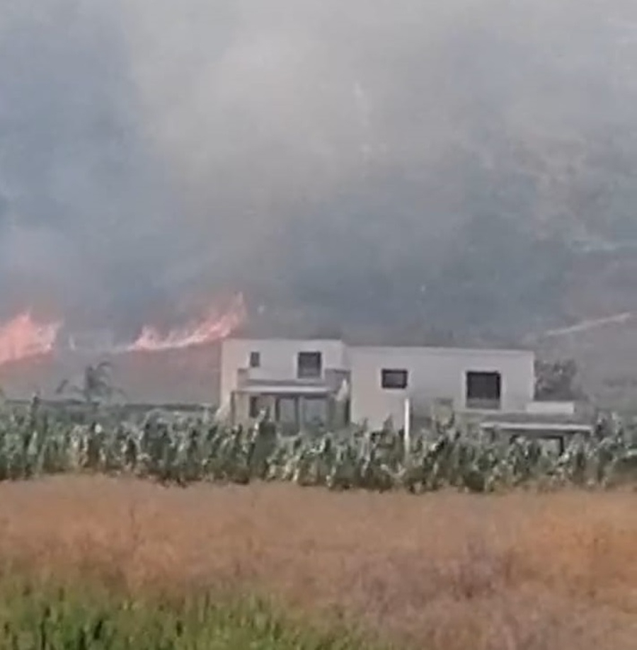 Roghi nel trapanese: fiamme anche a Custonaci e Scopello