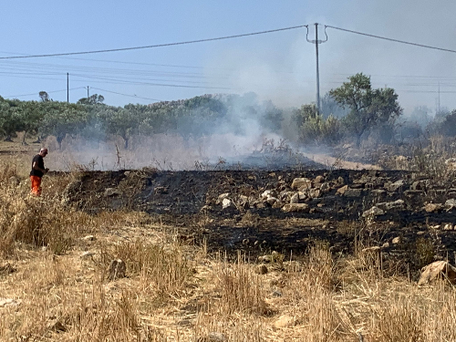 Incendio in contrada Assieni a Custonaci, fiamme anche in contrada Noce e sul Monte Sparagio