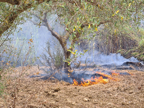 Incendio in contrada Porticalazzo