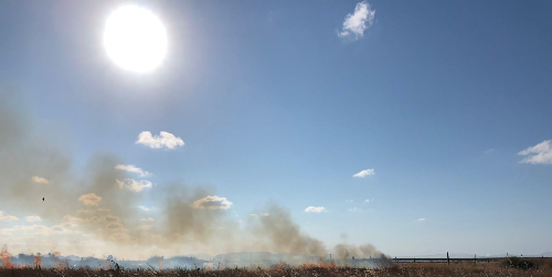 Incendio alla riserva orientata delle saline di Trapani e Paceco