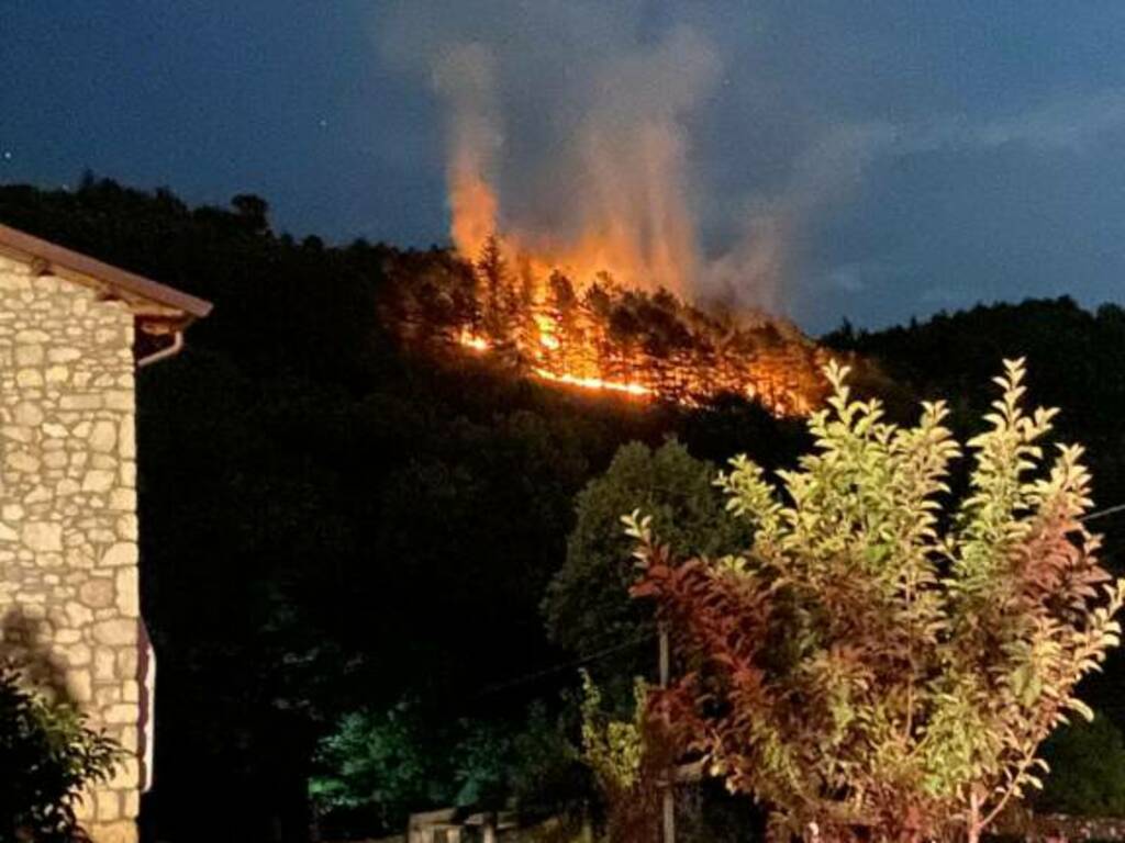 Incendi, il presidente Schifani riferirà in aula