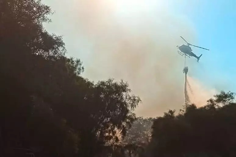 Castelvetrano: le fiamme bruciano alberi, arbusti e rifiuti