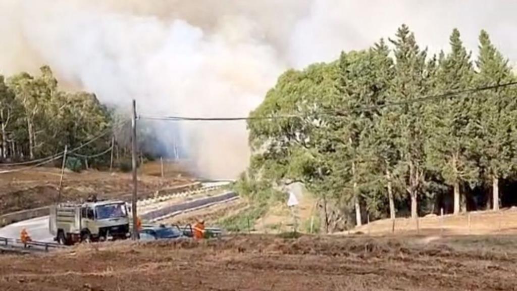 Buseto Palizzolo, tutti insieme per far rinasce il Bosco Scorace