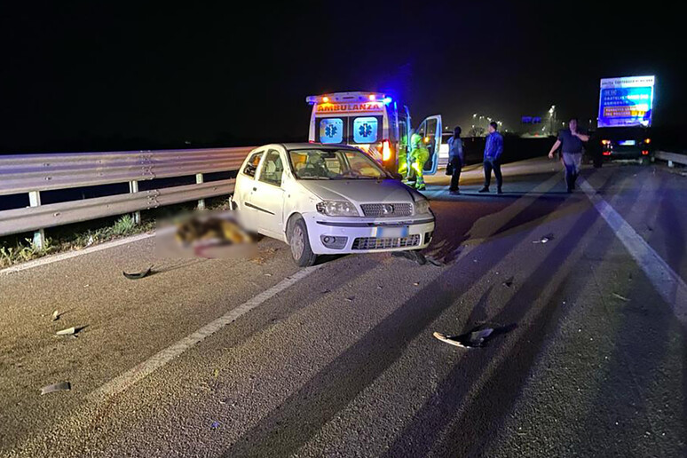 Incidente su A29, morta donna di Castelvetrano