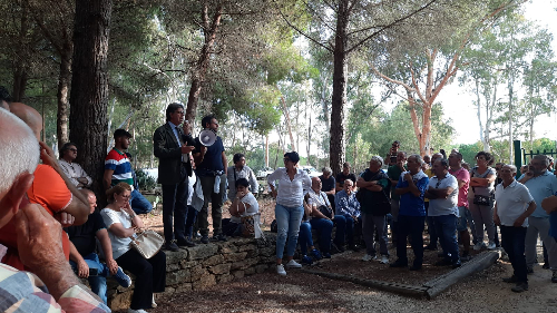 Il sindaco Castiglione accanto agli agricoltori contro il calo del prezzo delle olive