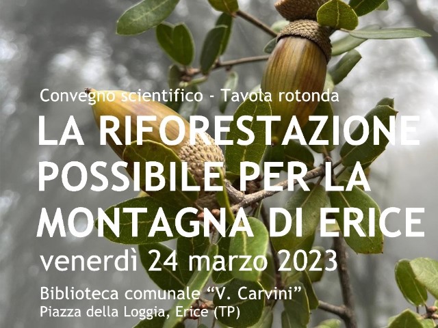 Erice, convegno su “La riforestazione possibile per la montagna di Erice”