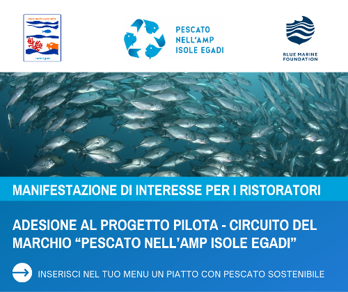 Un progetto pilota per il Marchio del Pescato nell’area marina protetta delle isole Egadi