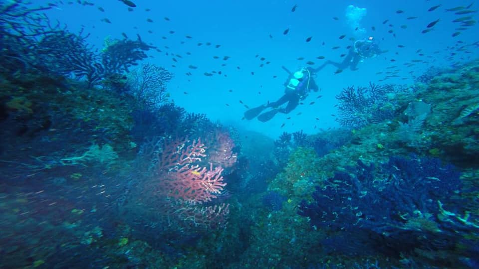 Trapani Sub: alla scoperta del mare