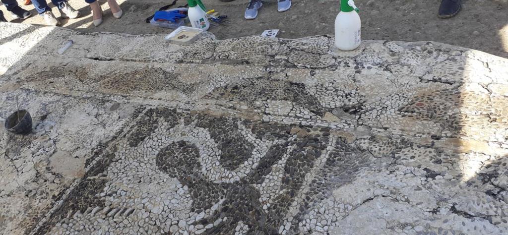 Nuovi mosaici scoperti sull'isola di Mozia