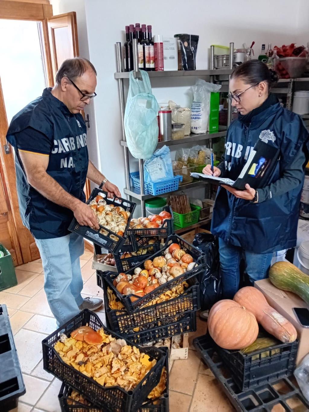 Controlli dei Nas in ristoranti, cantine e aziende vitivinicole: sequestri e sanzioni