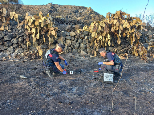 Pantelleria: denunciato il presunto responsabile di un incendio in contrada Rekhale