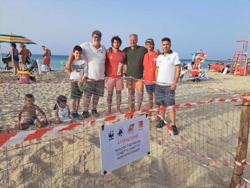 San Vito, tartaruga depone le uova sulla spiaggia libera