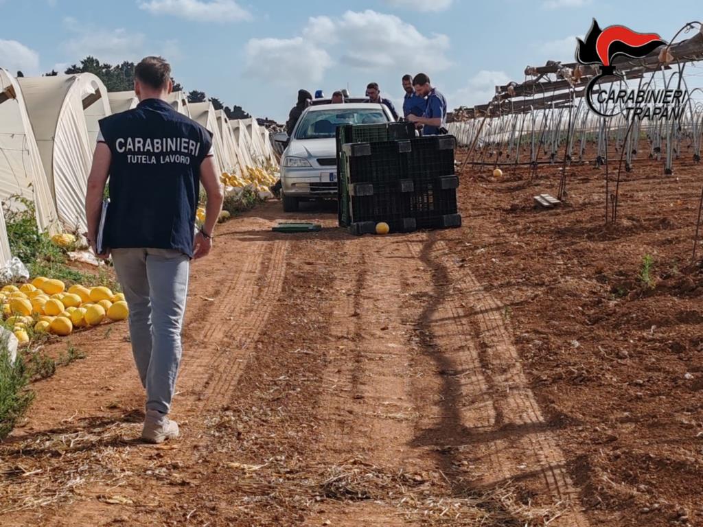 Caporalato e lavoro sommerso, sanzioni dei Nil in 4 delle 6 imprese agricole controllate