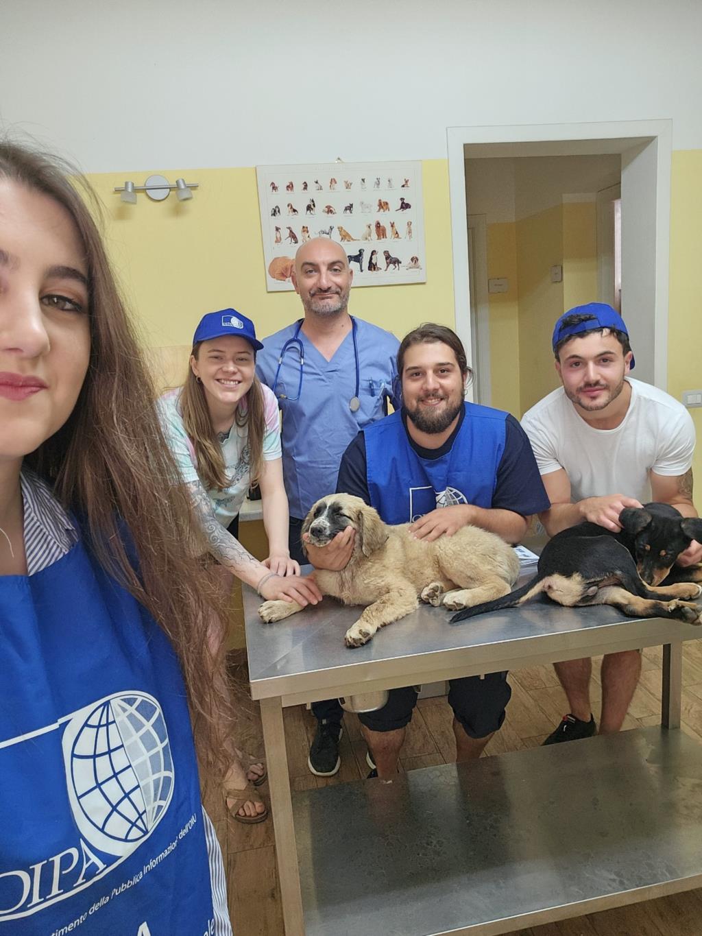 Da Londra alla Sicilia: una missione per salvare i randagi con Oipa Partanna