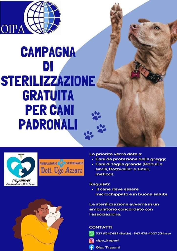 La campagna di sterilizzazione gratuita per i cani padronali di Oipa Trapani