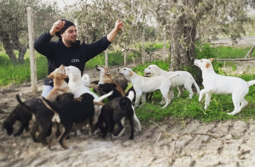 L'Oipa Partanna dona cibo e medicinali a chi si prende cura degli animali in strada o nei canili-rifugi