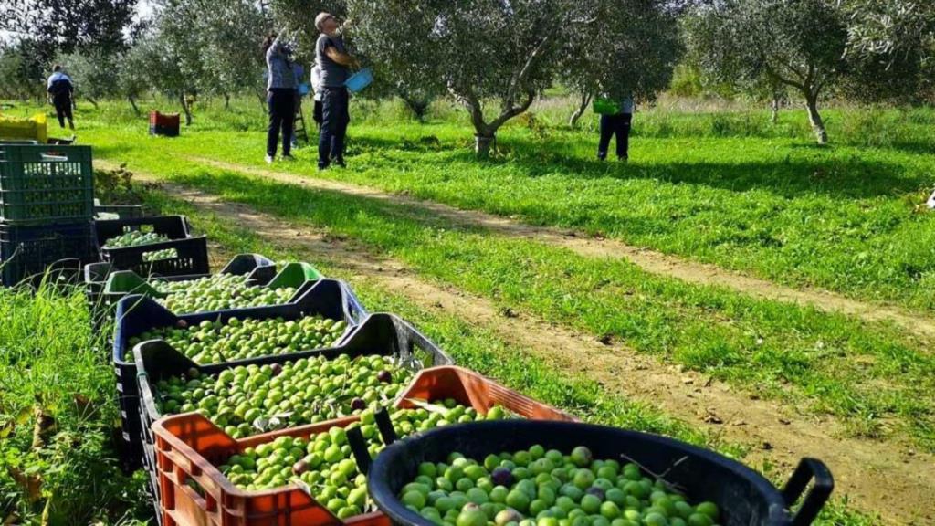 Agricoltura, proroga contratti per campagna irrigua dai Consorzi di bonifica
