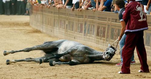 Palio di Siena: una ‘tradizione’ da cancellare