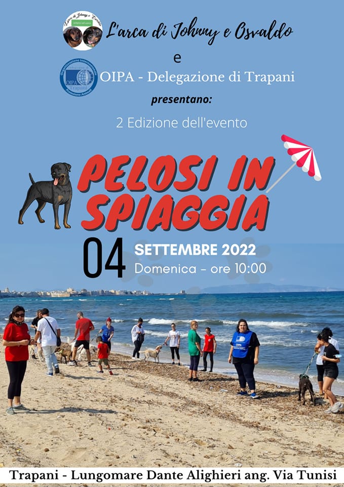 Trapani, domenica tutti in spiaggia con i cuccioli del rifugio