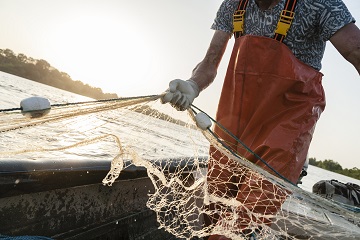 Pesca: Ugl, a settembre via libera Cipe per i primi 15 milioni bonus covid 19