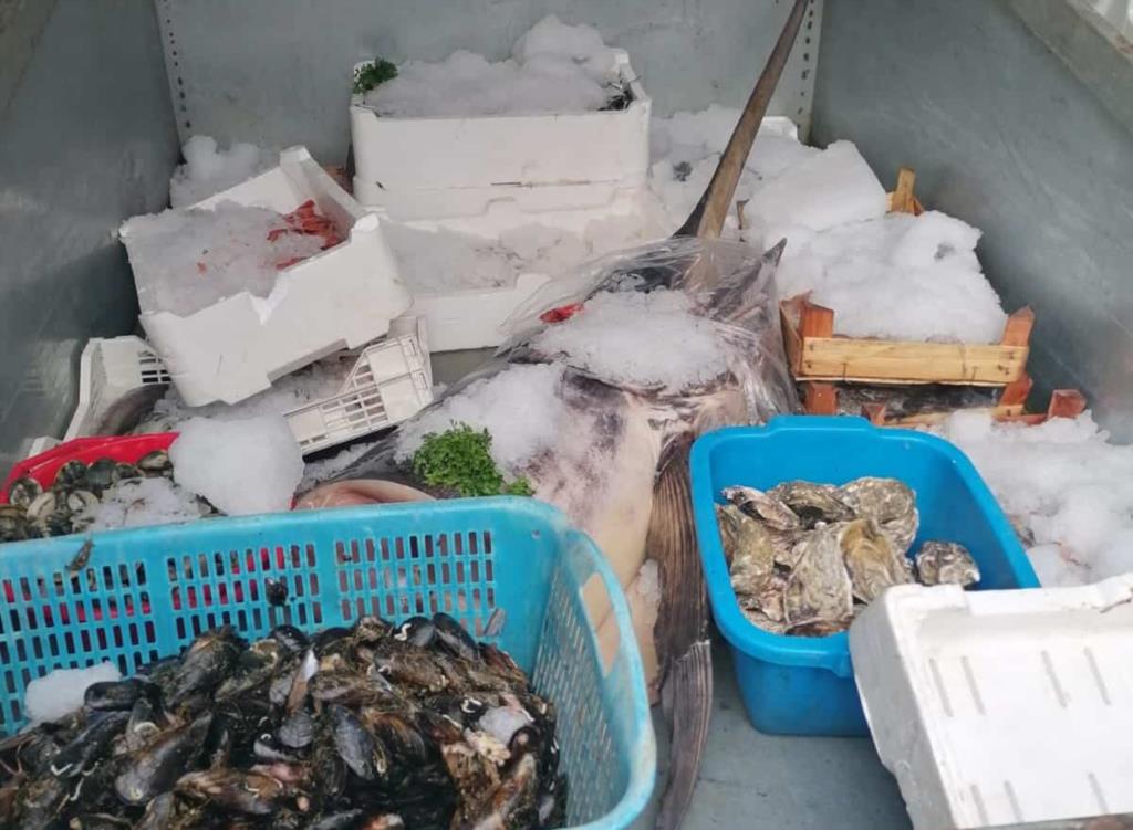 Mazara, sequestrati 400 chili di prodotti ittici non a norma