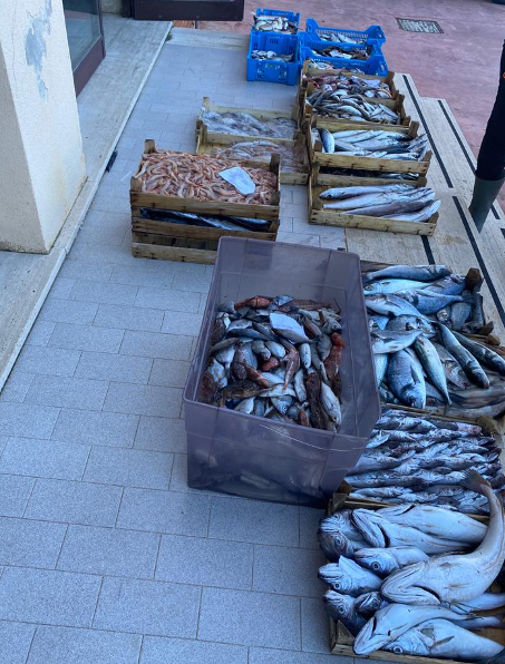Trapani: blitz al porto pescherecci, sequestrati 200 chili di pesce