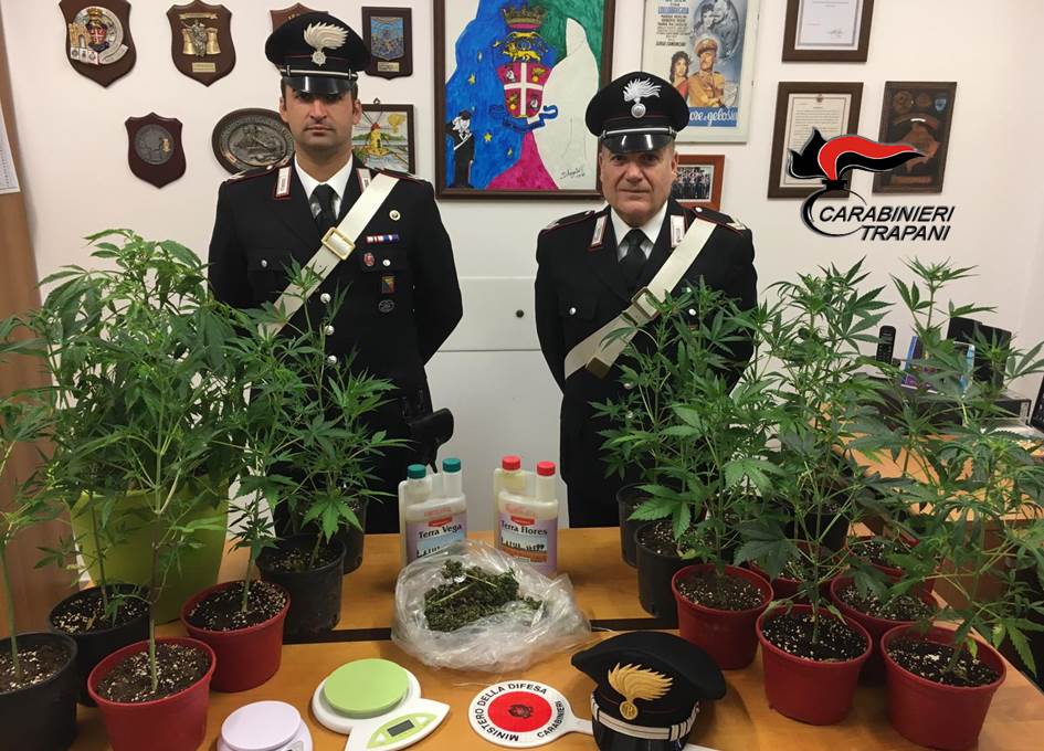 Coltivava droga in giardino, un arresto a Petrosino