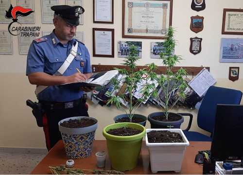 Misiliscemi: coltivazione di marijuana, denunciato un uomo