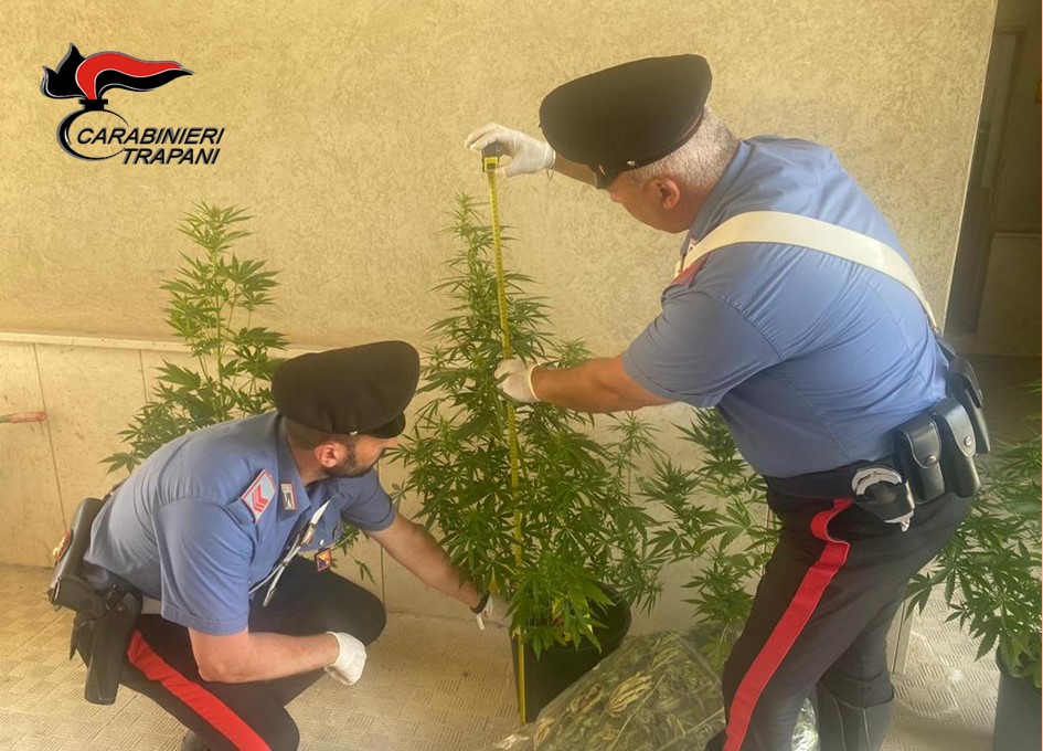 Castelvetrano, coltivava marijuana in casa: arrestato