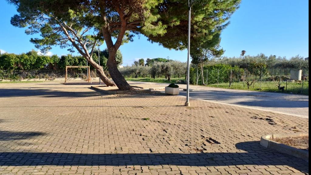 Piazze di Rilievo e Palma, consegnati i lavori per un importo di 146mila euro