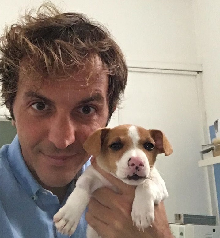 La displasia dell'anca, i consigli del nostro veterinario Pietro Ingrande (VIDEO)