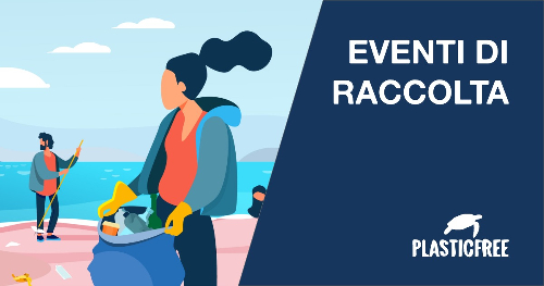 Plastic free: domenica raccolta dei rifiuti in spiaggia ad Erice