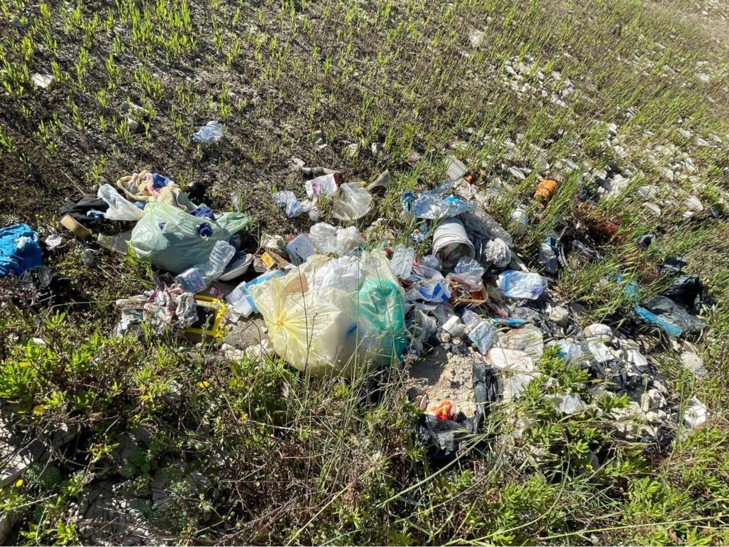 Plastic free: tonnellate di rifiuti raccolti dai volontari a Rio Forgia