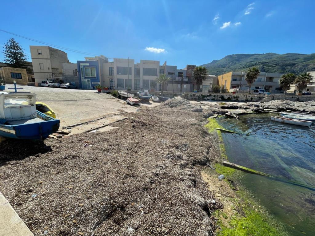 Porto di Bonagia, il PD, la Scelta per Valderice e il M5S attaccano Stabile: “Sedici anni di fallimenti, bugie e arroganza”