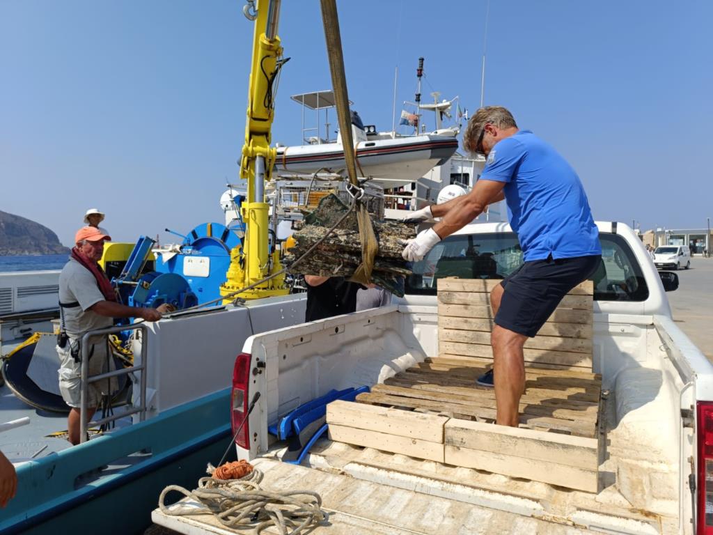 Egadi, recuperati due rostri a Levanzo