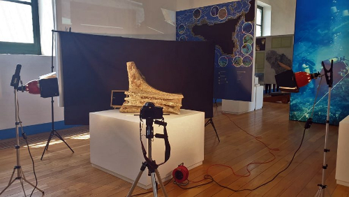 Soprintendenza del Mare e RPM Nautical Foundation studiano i rostri delle Egadi
