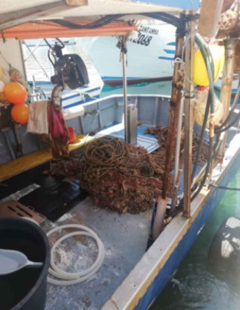 San Vito Lo Capo: attività congiunta tra Marevivo e Capitaneria per recupero reti fantasma
