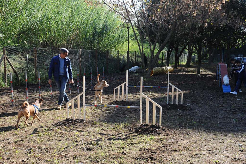 Presto ad Erice un'area per lo sgambamento dei cani (VIDEO)
