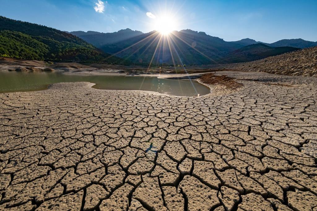 Siccità, ristori per 35 milioni. Barbagallo: «La Regione è al fianco degli agricoltori»