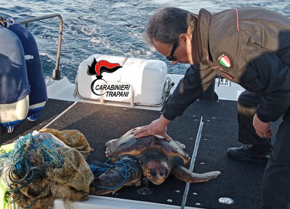 Favignana, i Carabinieri salvano una tartaruga (VIDEO)